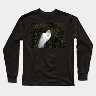 Great Egret with Breeding Colors and Plumes Long Sleeve T-Shirt